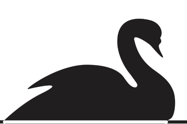 Apa Itu Black Swan Event? Peristiwa Ekonomi Tak Terduga yang Berasal dari Metafora Angsa Hitam