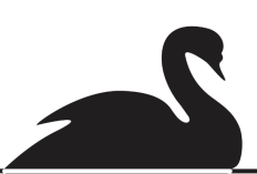 Apa Itu Black Swan Event? Peristiwa Ekonomi Tak Terduga yang Berasal dari Metafora Angsa Hitam