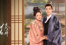 Nonton Drama China A Splendid Match (2026) Full Episode Subtitle Indonesia, Kisah Gu Jinzhao Perjuangkan Hak